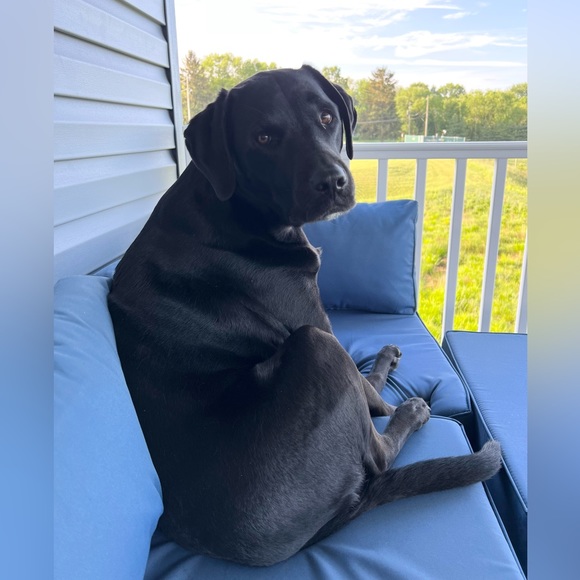 Meet your Posher, Jenny 🍍🌴🌺 - Picture 2 of 2